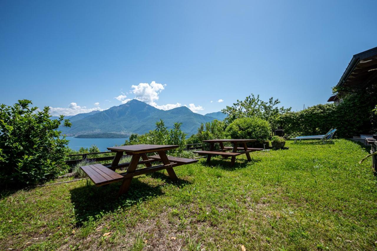 Agribenessere Brenzio Консильо-ди-Румо Экстерьер фото